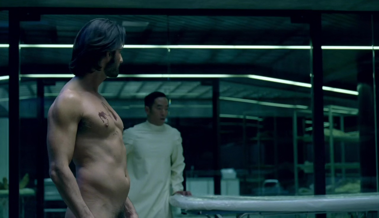 Rodrigo Santoro nude