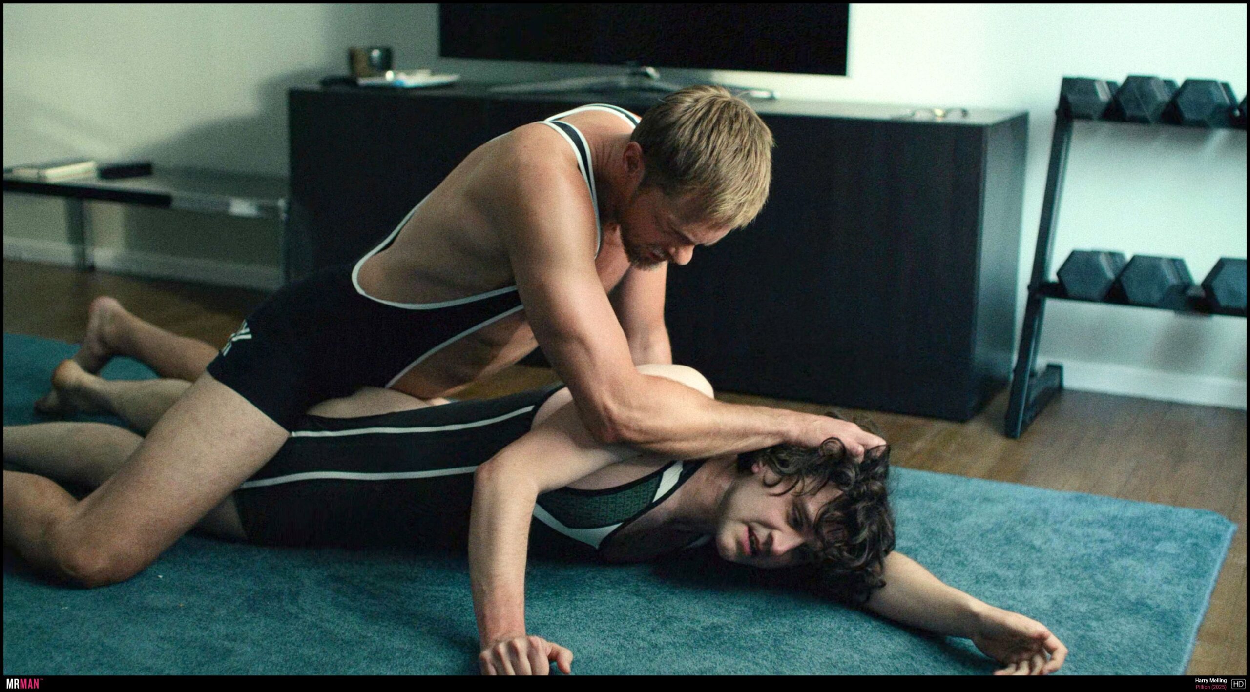 Alexander Skarsgard’s Gay BDSM Scenes in Pillion